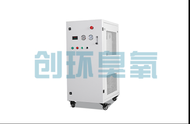 云阳工厂化养鲈必看:2026年臭氧发生器替代传统消毒的最新方案