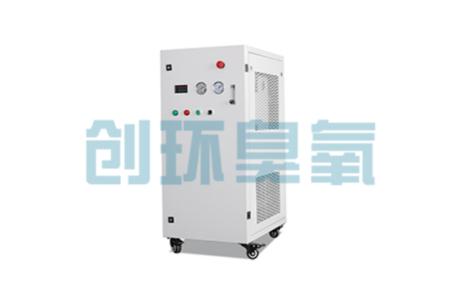 云阳比传统换水更高效?臭氧发生器在石斑鱼养殖中的水质净化原理解析